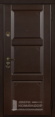 Металлическая дверь шоколад окрас по RAL - наружная сторона