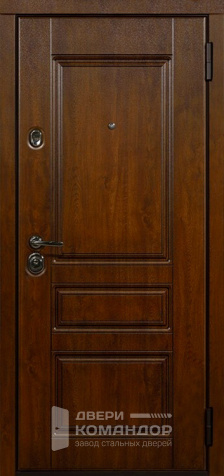 Дверь входная металлическая уличная в дом №33 с замками CISA - наружная сторона