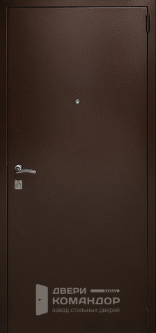 Металлическая дверь с напылением №25 с замками KALE - наружная сторона