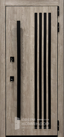 Зеркальная входная дверь в дом №31 размером 900x2000 мм - наружная сторона