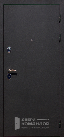 Дверь входная на дачу №20 - наружная сторона