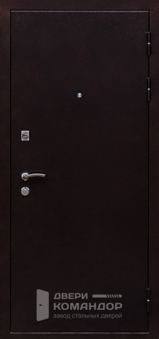 Дверь металлическая однопольная №30 - наружная сторона