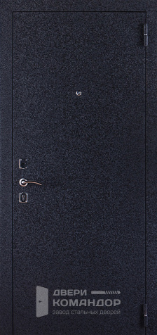 Входная дверь с зеркалом с внутренней стороны двери №6 - наружная сторона