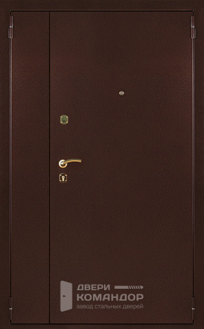 Дверь металлическая полуторная №2 - наружная сторона