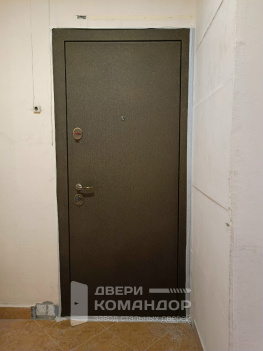 Входная дверь Stardis Comfort  с расширением проёма  (Типовая серия КОПЭ-87)