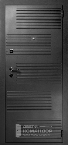 Дверь входная звукоизоляционная металлическая с зеркалом №29 размером 960x2050 мм - наружная сторона