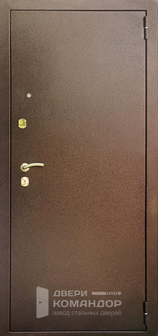 Дверь входная дешевая №5 - наружная сторона