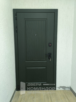 Металлическая входная дверь Scandi АСД зелёная