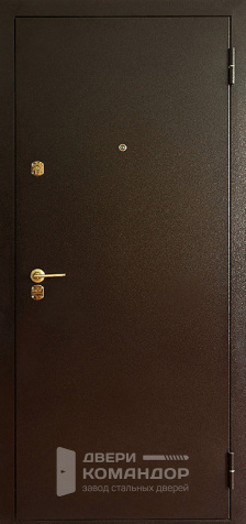 Наружная дверь в частный дом №48 - наружная сторона